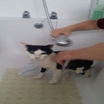Mister Bath Time